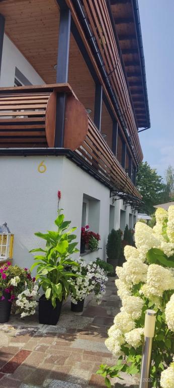Galeria zdjęcie 15